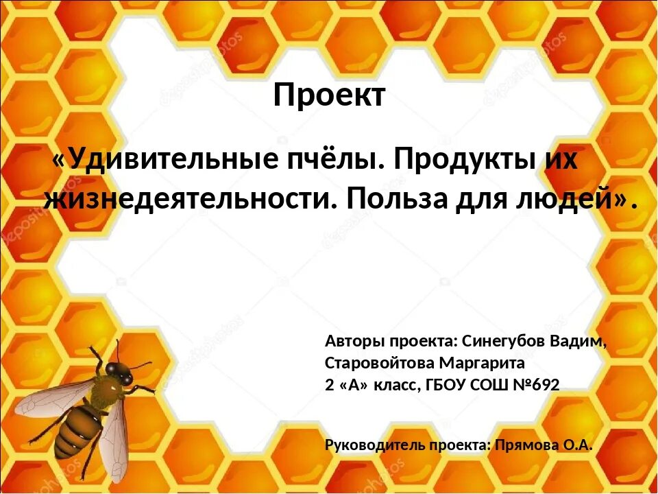 Пчеловодство 3 класс. Проект про пчел. пчела для презентации. интересные факты о пчелах. пчеловодство презентация.