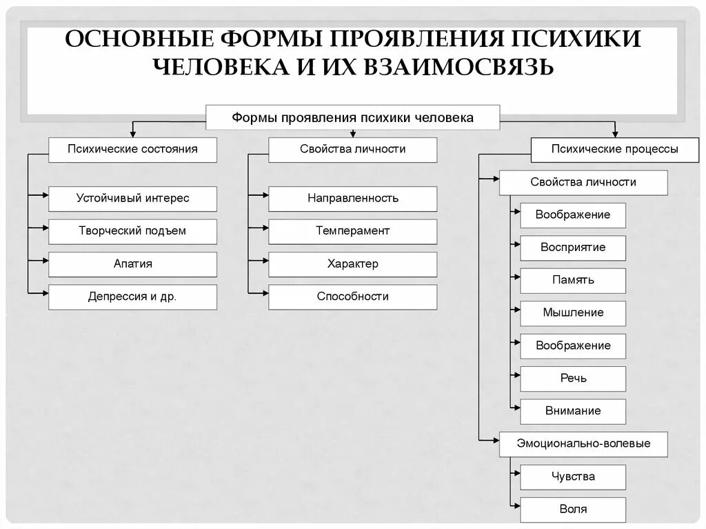 Основные формы проявления психики человека и их взаимосвязь. Формы проявления психики человека таблица. Формы проявления психики и их взаимосвязь схема. Психика формы проявления психики.