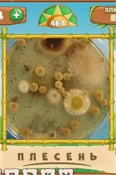 Ответы на игру птица говорун. В игре птица говорун ответ на 4759 уровень. Игра говорун одноклассники 7 букв. Игра говорун одноклассники 7 букв. Игра говорун одноклассники 7 букв.