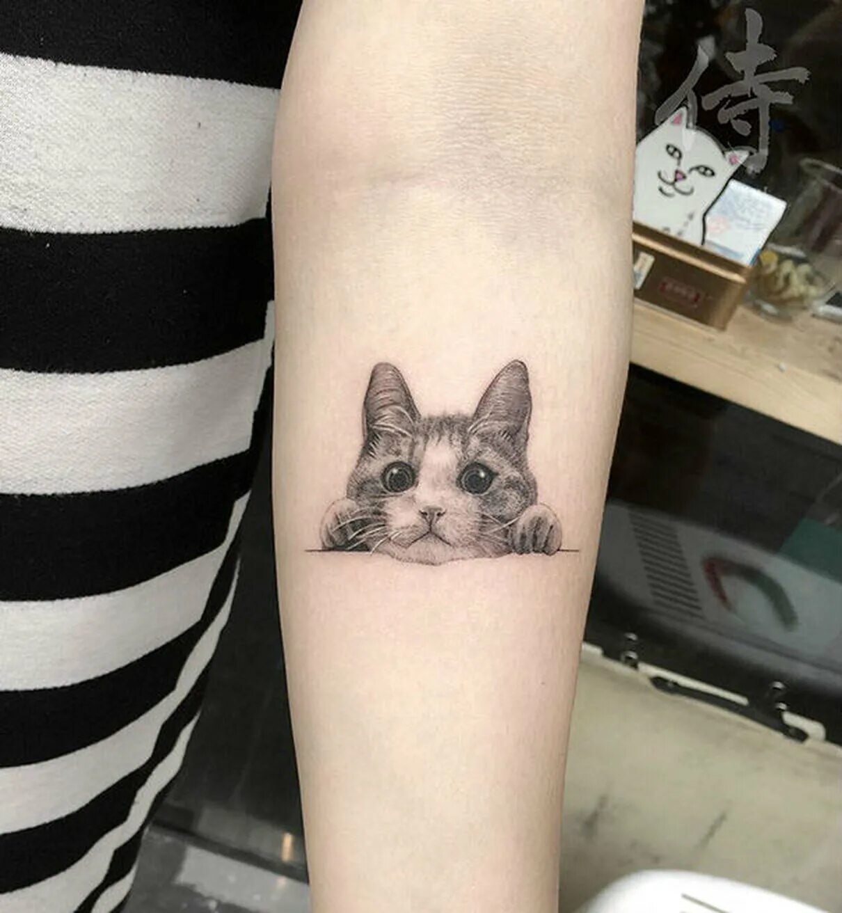 Татуировка кот значение. Тату с котами. тату котенок. тата кошка. тату в виде кошки.