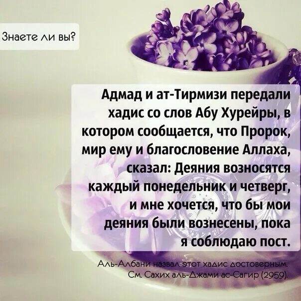Жена в исламе. Хадисы о детях и семье. Хадис про дочерей. Хадис про дочерей. Хадисы о добре.