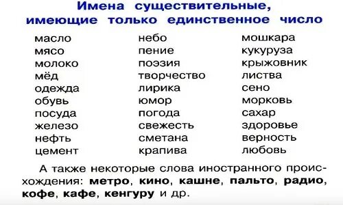 Шофер имя существительное число. Слова только единственного числа существительного. Существительное в единственном числе примеры. Слова имена существительные в единственном числе. Слова имеющие форму только единственного числа.