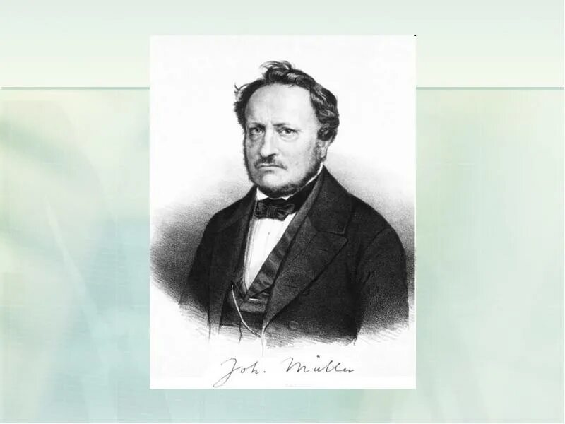 Иоганнес Мюллер (1801-1858). Иоганнес Петер Мюллер. Мюллер физиолог. Мюллер ученый.