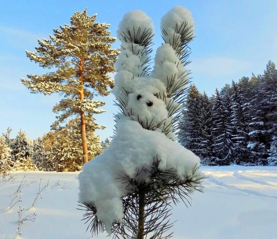 Зимнее чудо. Снежные причуды природы. Снежное чудо. Чудеса зимней природы.