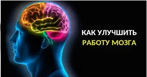 Улучшает деятельность мозга