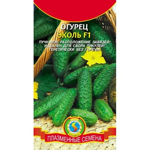 огурец эколь f1. семена огурец эколь f1 гавриш. семена огурцов паратунка. семена огурцы эколь f1. огурец эколь f1 5 шт.
