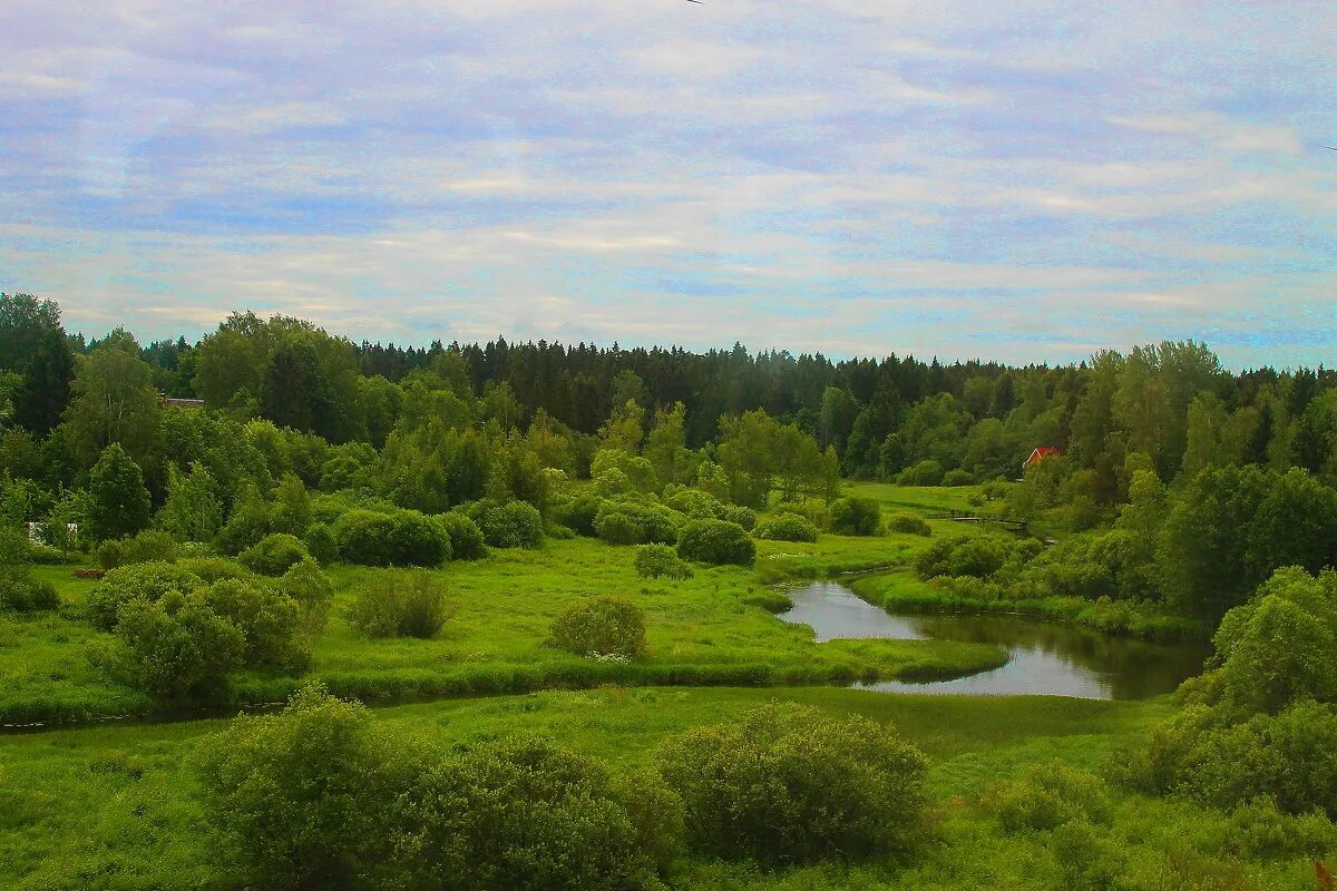 зеленое раздолье. в поле. зеленое раздолье. зеленое раздолье. зеленое раздолье.