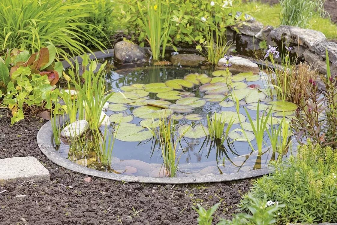 Дачные мини прудики. Декоративный прудик. Мини водоем. Маленький фонтанчик в саду. Прудик для нимфеи ландшафтном.