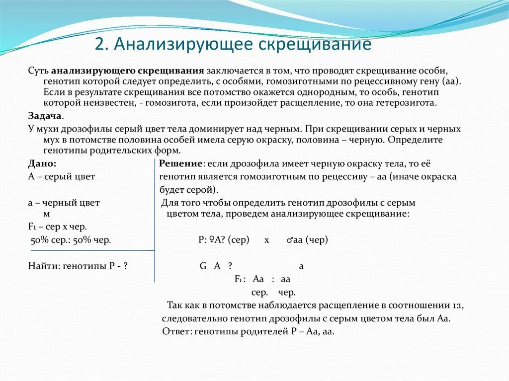 Сколько процентов особей будет иметь рецессивный. Задачи на анализирующее скрещивание с решением. Анализирующее скрещивание это в биологии задачи \. Генетические задания на анализирующее скрещивание. Анализирующее скрещивание решение генетических задач.