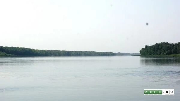 Лысая гора кривоборье. Место отдыха у реки. Ул берег реки дон 26а/4. Берег реки дон 26а. Обломов турбаза воронеж.