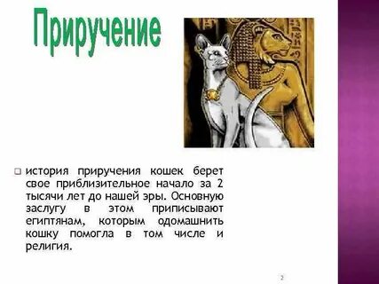 Изложение кошка была приручена в древнем египте