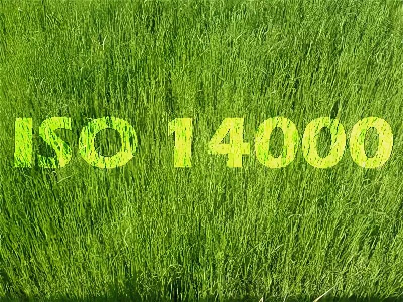 14000 1 2. 14000 1 2. Hvlp 1. Фильтр oase biosmart 18000. Машина шлифовальная пневматическая ленточная dynabrade dynafile.