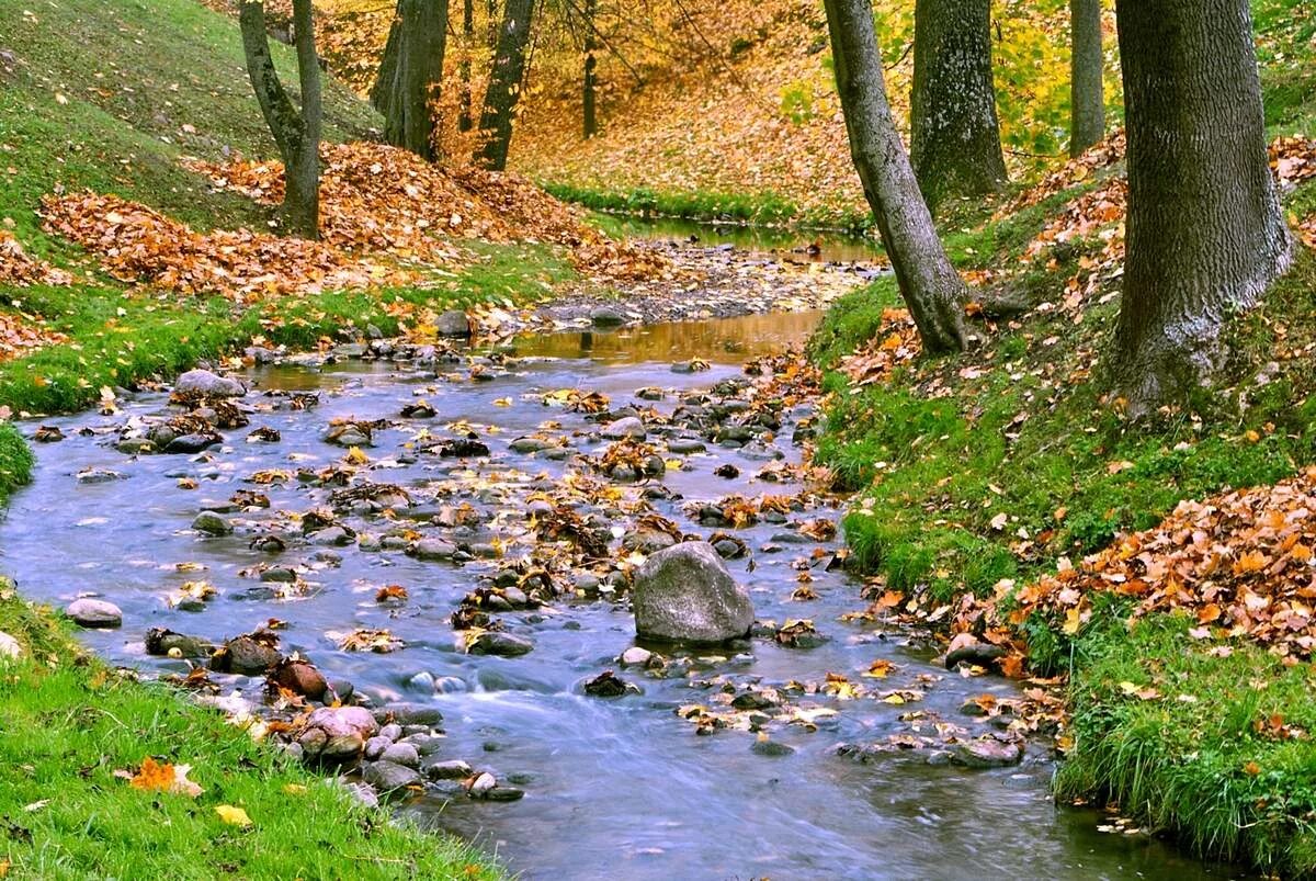 Ручей осенью. Осенний ручей. Осенний Ручеек. Ручеек осенью.