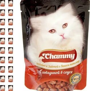 Chammy производитель