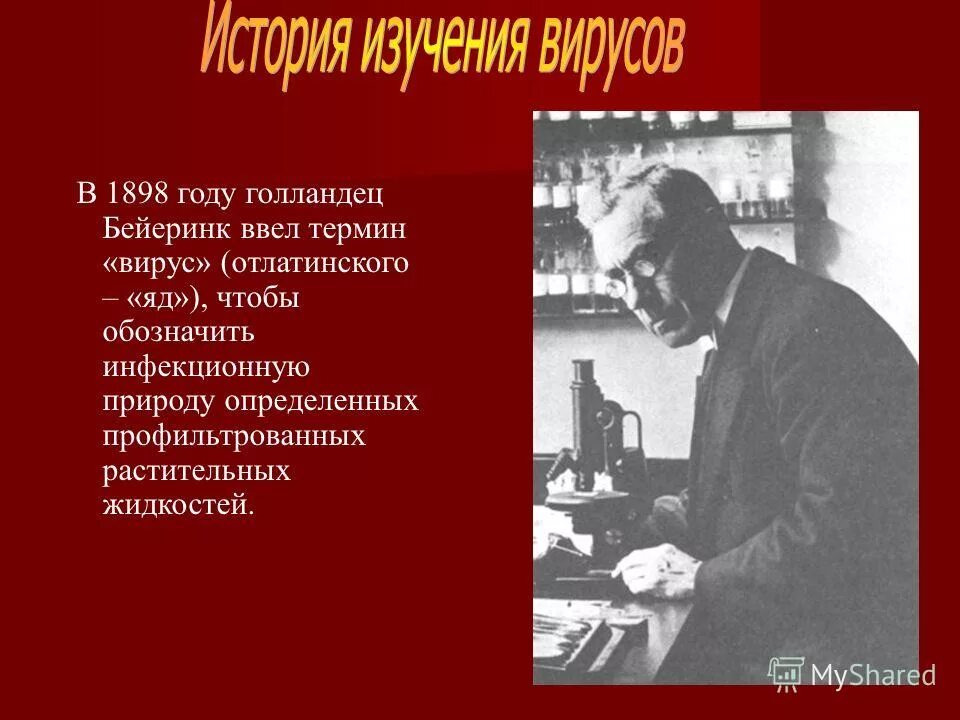 кто ввел термин вирус