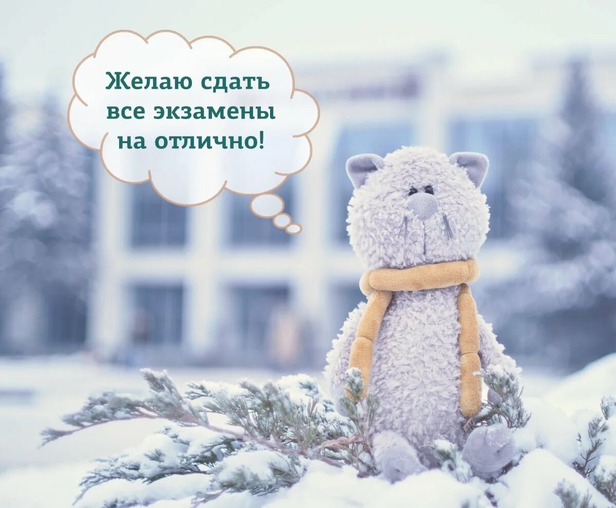 Сдавать на отлично. Сдам огэ на отлично. Желаю сдать все экзамены на отлично. Сдавать на отлично. Ты сдашь экзамен на отлично.