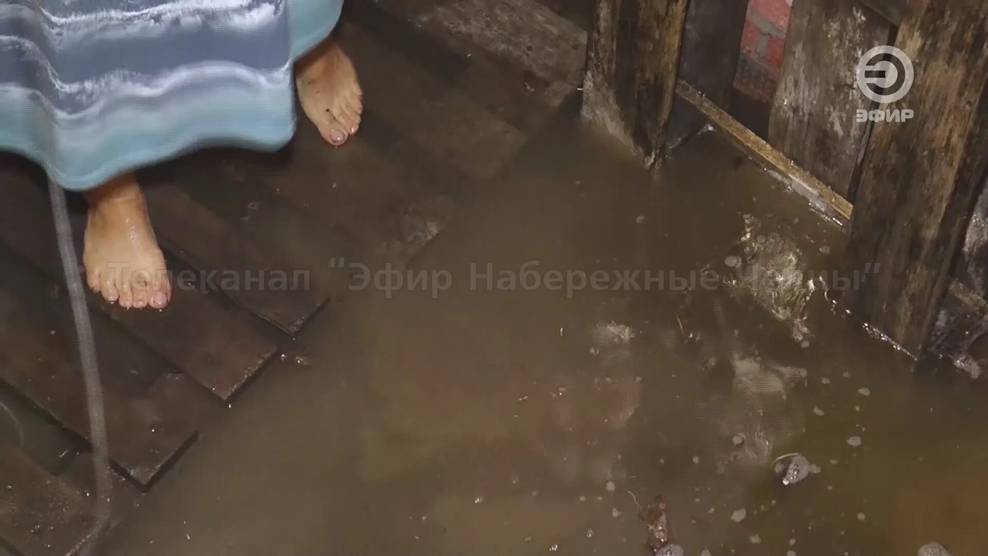 Затопило подвал. Могила Полины Сергиенко. Что случилось с полиной сергиенко
