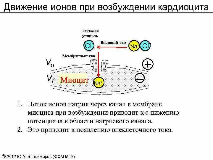 Вокруг движущегося иона существует существуют