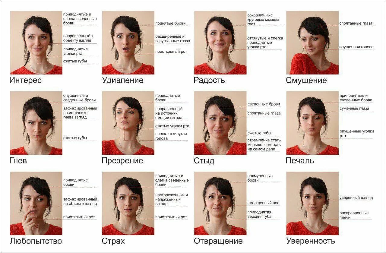 Нормальное выражение лица. Мимика лица. эмоции человека. эмоции названия. эмоции человека с описанием.