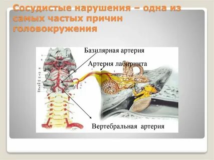Сосудистые нарушения