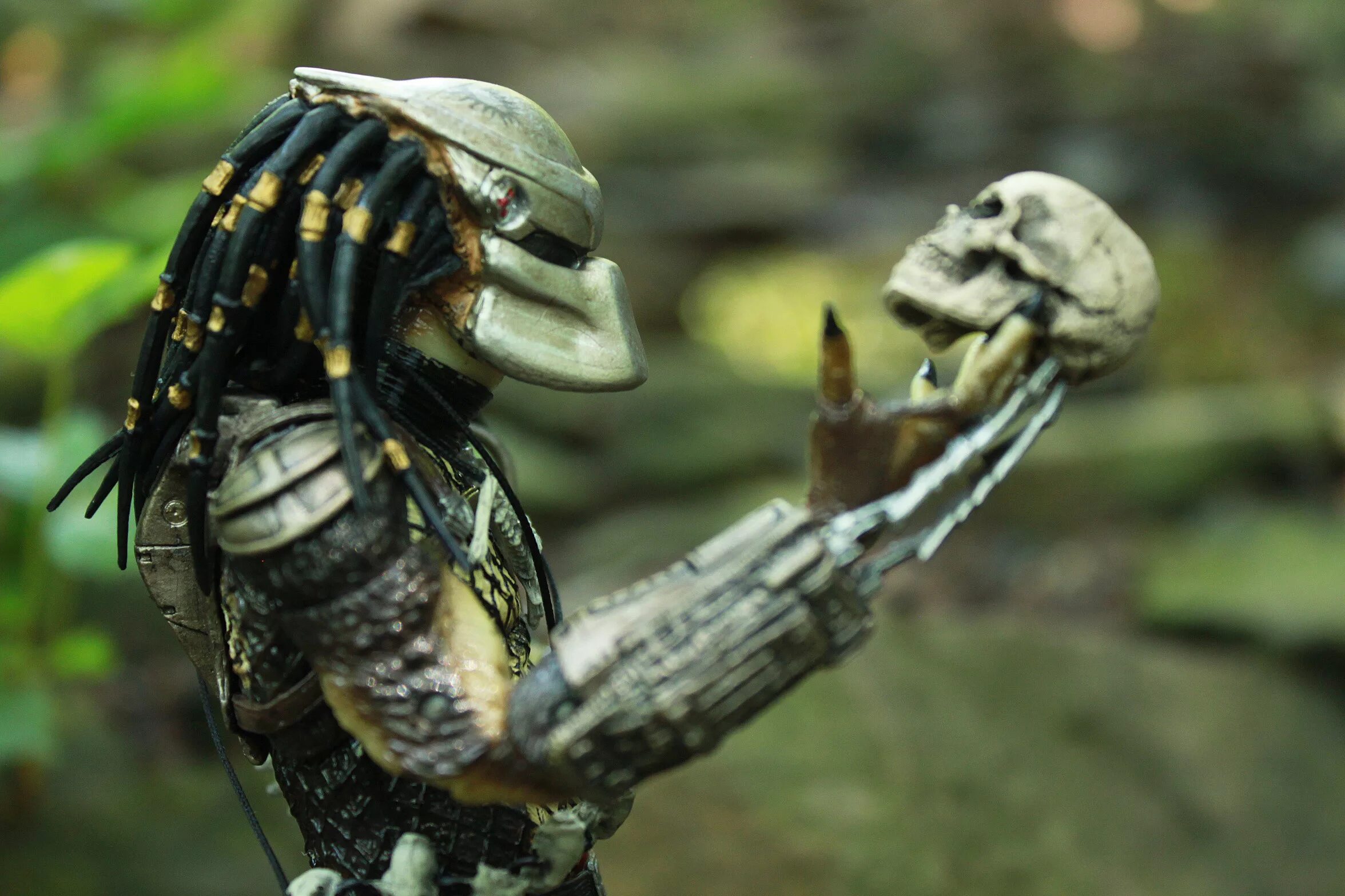 Что такое хищник. Хот тойс чужой. Хищник предатор. Хищники 2010 хищник берсеркер. Что такое хищник.