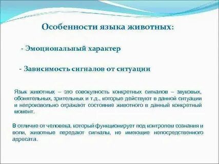 Особенности языка названий