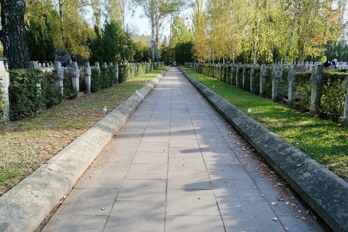 Кладбище бадалык — аллея героев. Мемориальное кладбище на кранцер-аллее. Аллея героев цимлянск. Туруновское кладбище аллея героев. Николо-архангельское кладбище аллея спецназа.