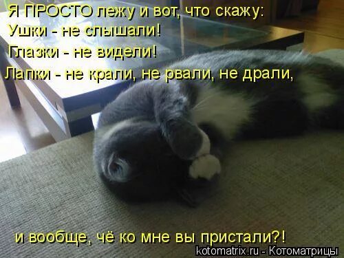 Бунтарь мем. Это просто лежит. Анекдоты про сон. Просто лежу. Просто лежу.