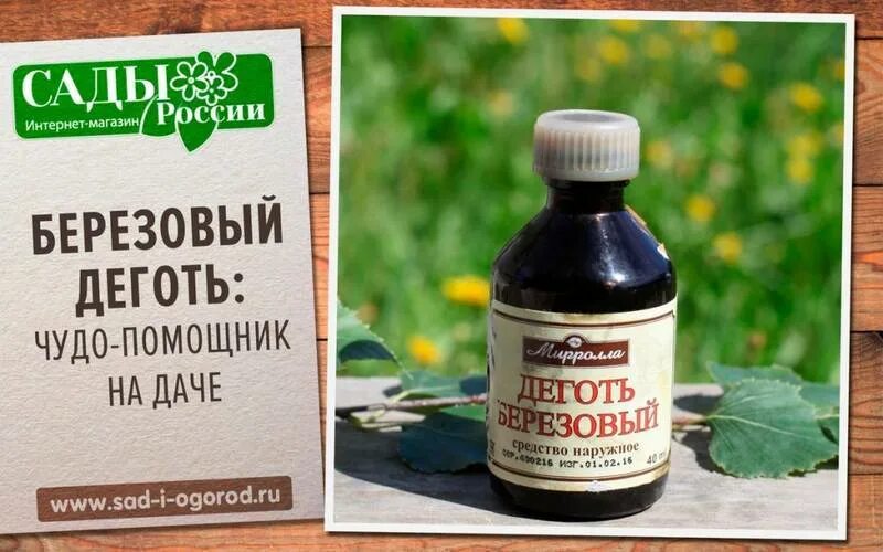 Где применяется деготь. Березовый деготь. березовый деготь в аптеке. березовый деготь аптечный. древесный деготь.