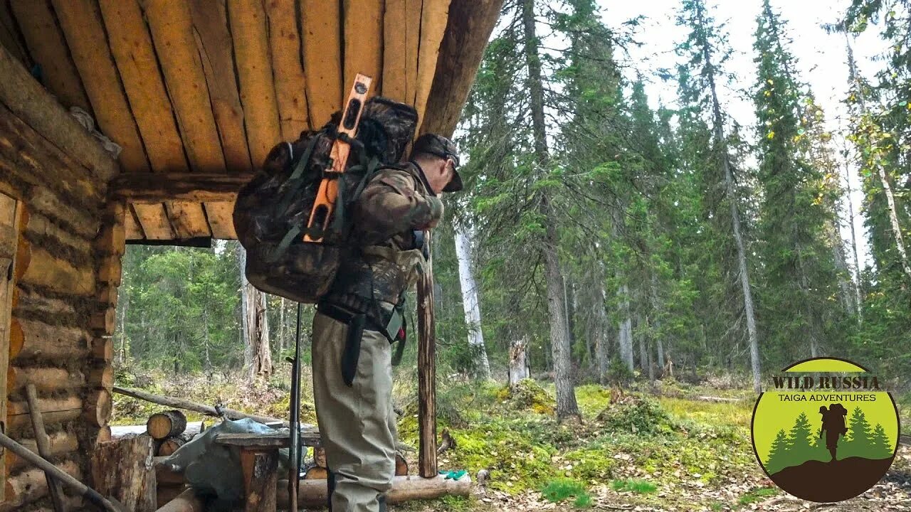 Охотник в лесу. Охота в тайге коми. Охота и рыбалка в глухой тайге видео. Охота в тайге в2022222222222. Охота в тайге в глухих лесах.
