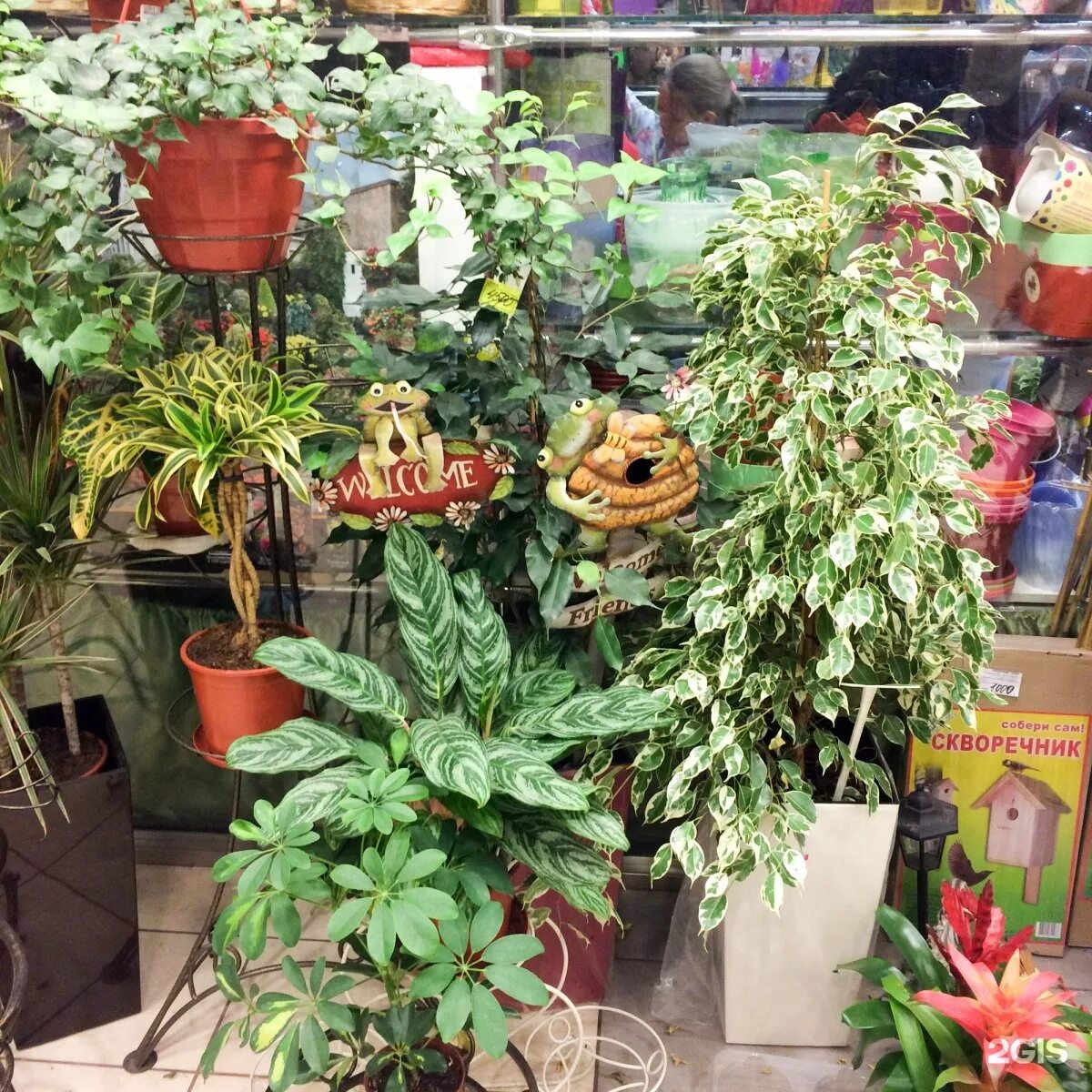 Глобус магазин цветов в грин хаусе. Аустрина 139. Зелёный дом пенза. Товары для сада и огорода вывеска. Зелёный дом пенза.