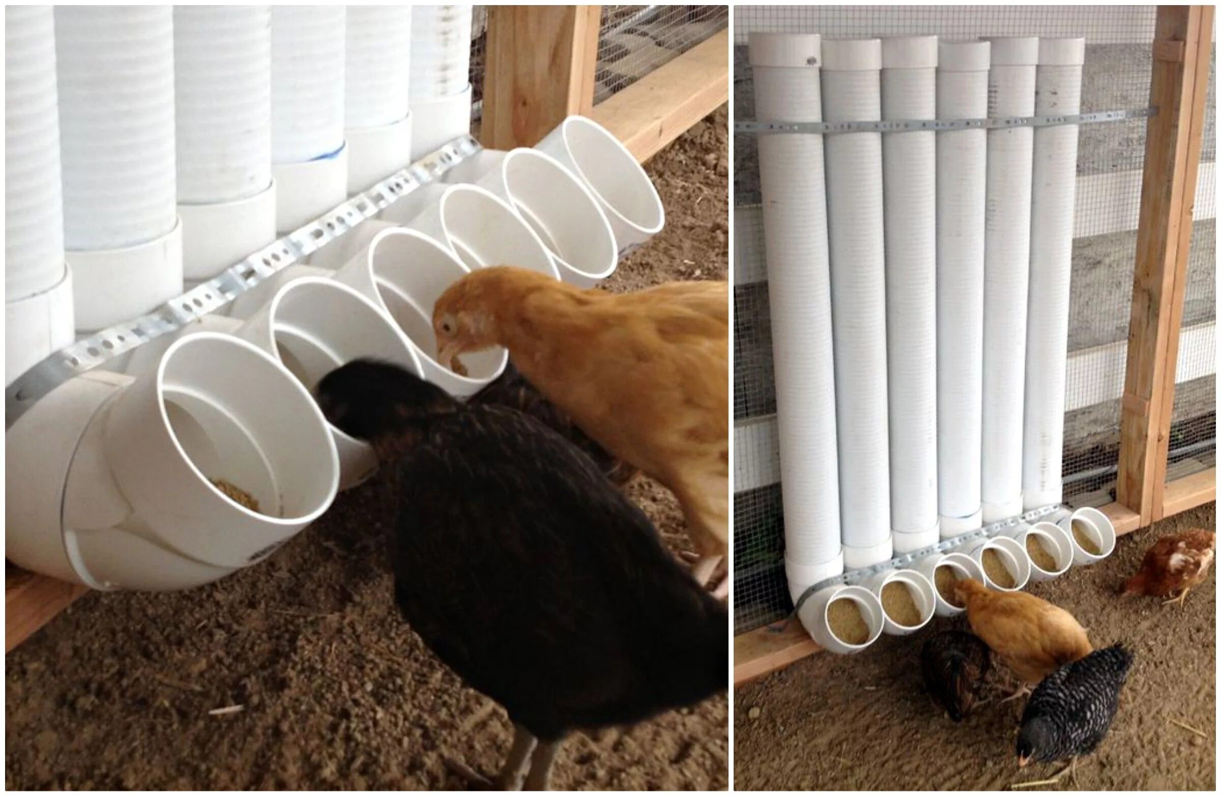 кормушки для кур оригинальные идеи. насесты и кормушки для кур. кормушка для мешанки для кур. кормушки для кур оригинальные идеи. поилка для кур в курятнике.