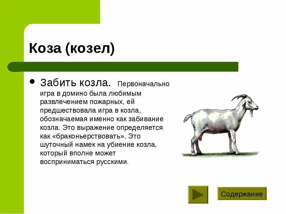 Как играть в козла домино. Домино козел. Забить козла в Домино. Интересные факты о козах. Как забить козла в Домино.