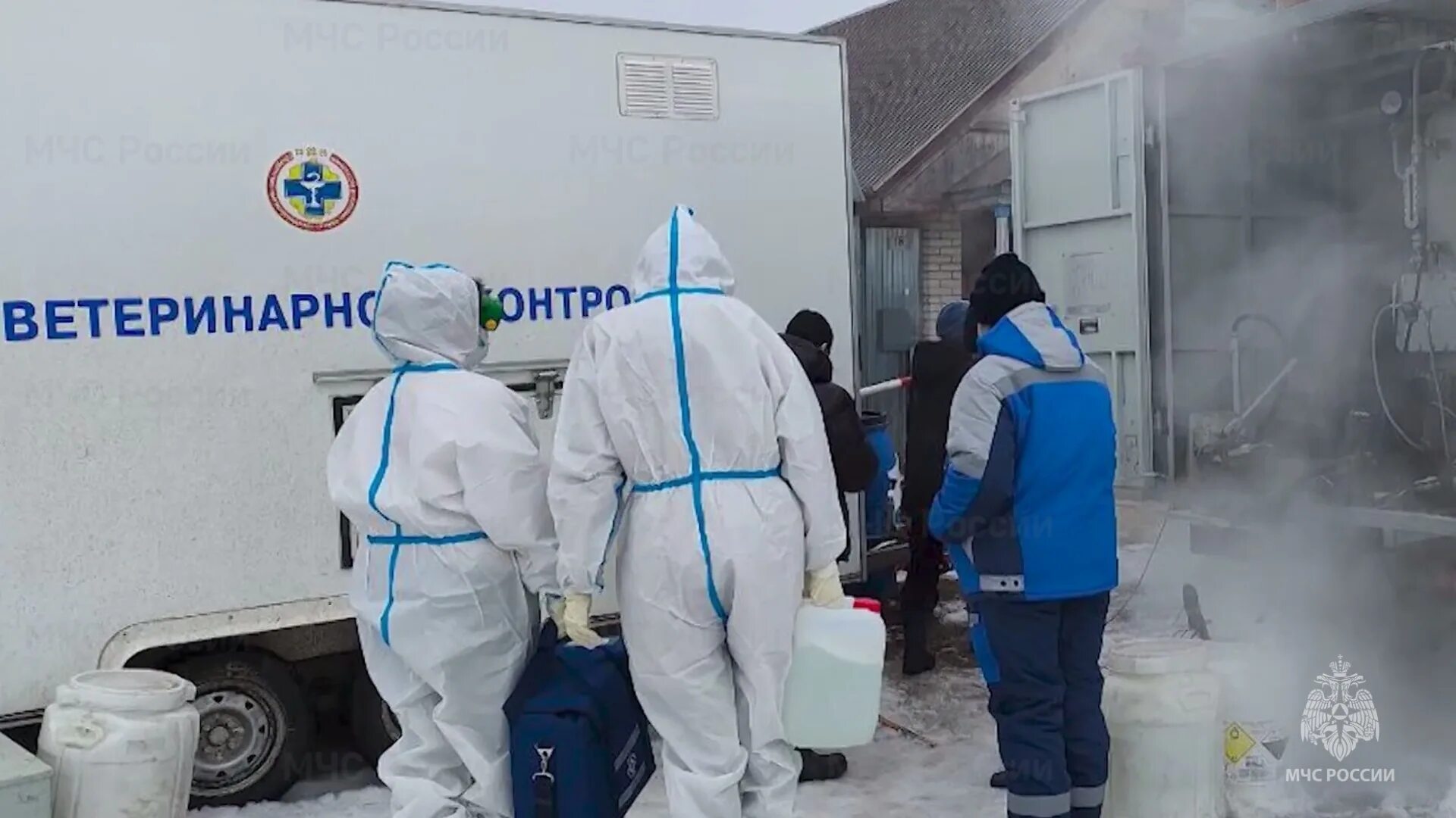 Под Воронежем обнаружили очаг сибирской язвы RuNews24.ru Дзен