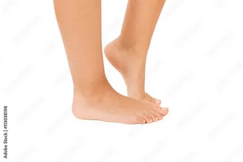 Pies de