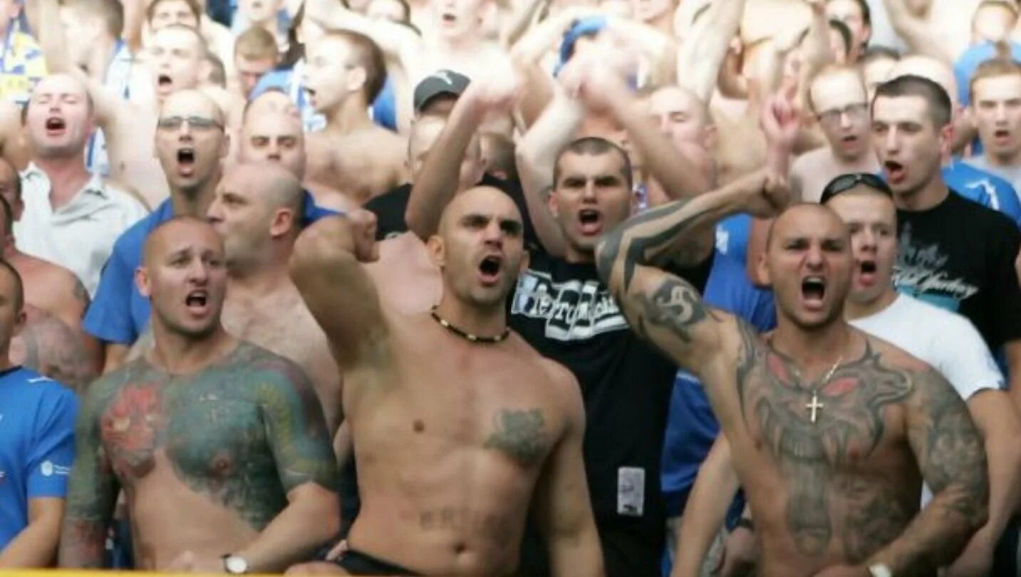 что значит фанат