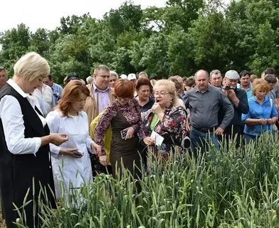 Филиал россельхозцентра