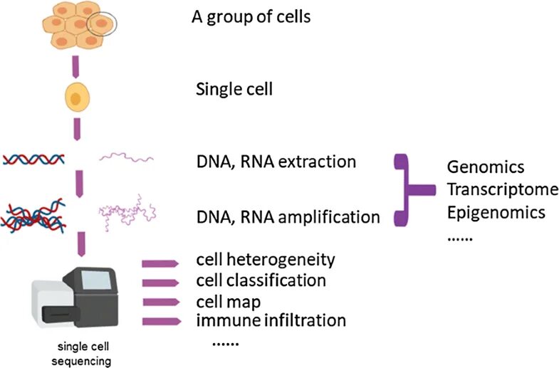 Single cell sequencing. Single cell. single-cell rna sequencing. pacbio секвенирование. cell and bioscience обложка.