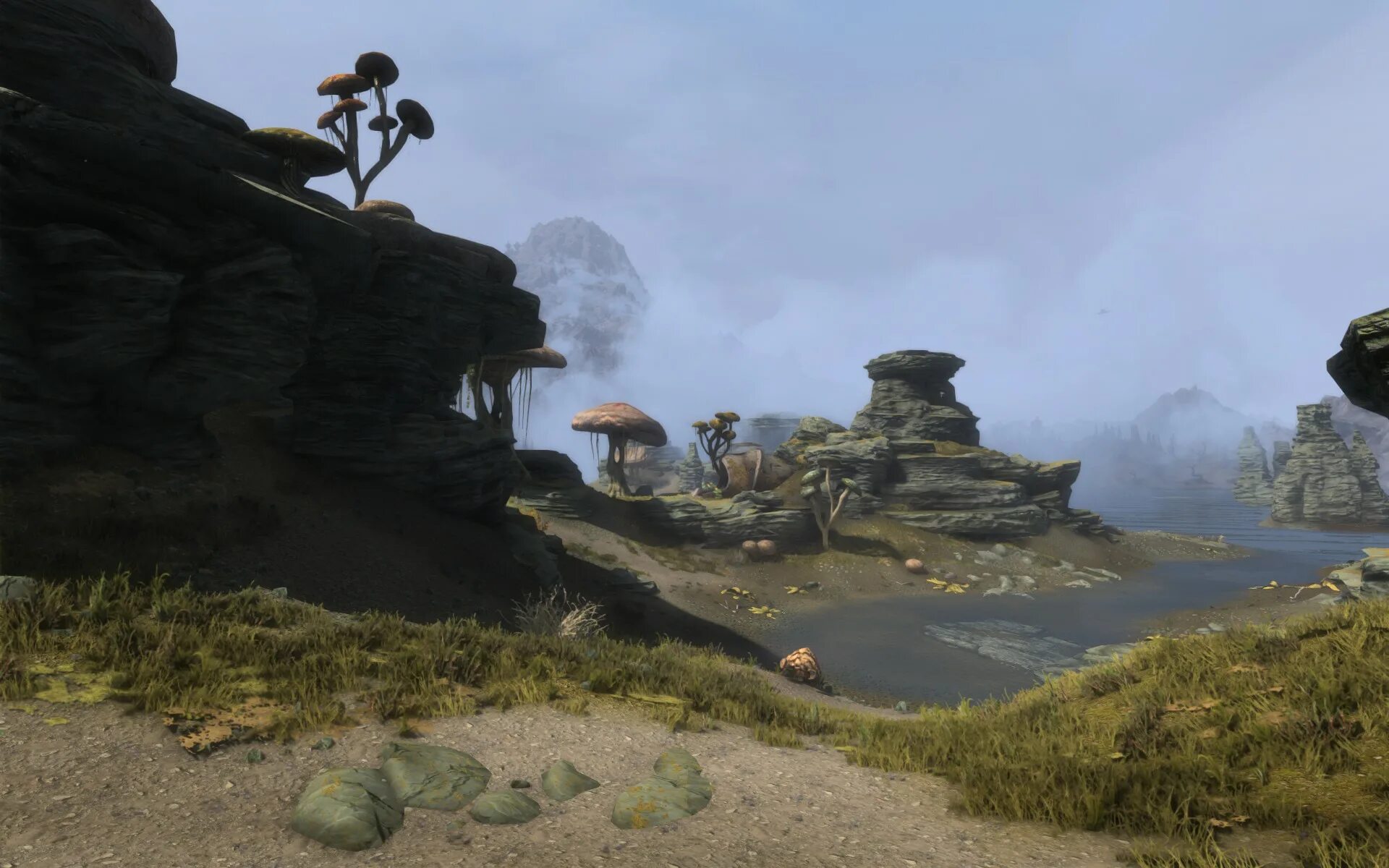 Skywind дата выхода. The elder scrolls: skywind. the elder scrolls 5 skywind. skywind скриншоты. скайвинд последняя версия.