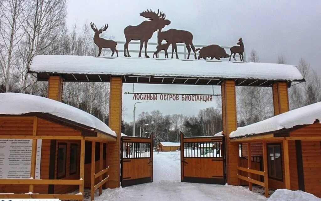 Дом в парке лосиный остров