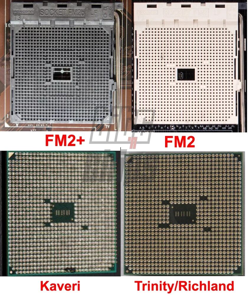 Сокет amd 2. Сокет AMD fm2. Socket fm2 и сокет am4. Сокеты АМД fm2. Процессоры для сокета fm2+ fm2 AMD.