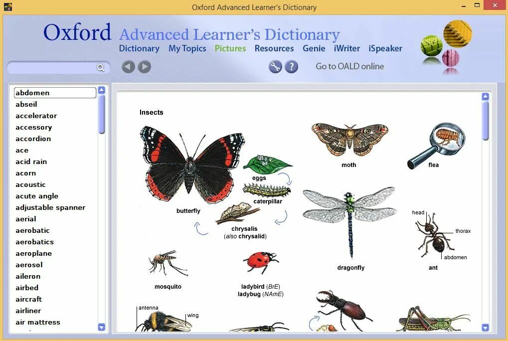 Write the odd word mosquito butterfly