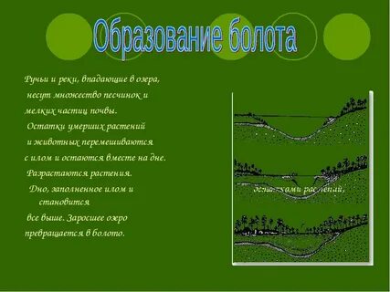 Презентация болота 6 класс география