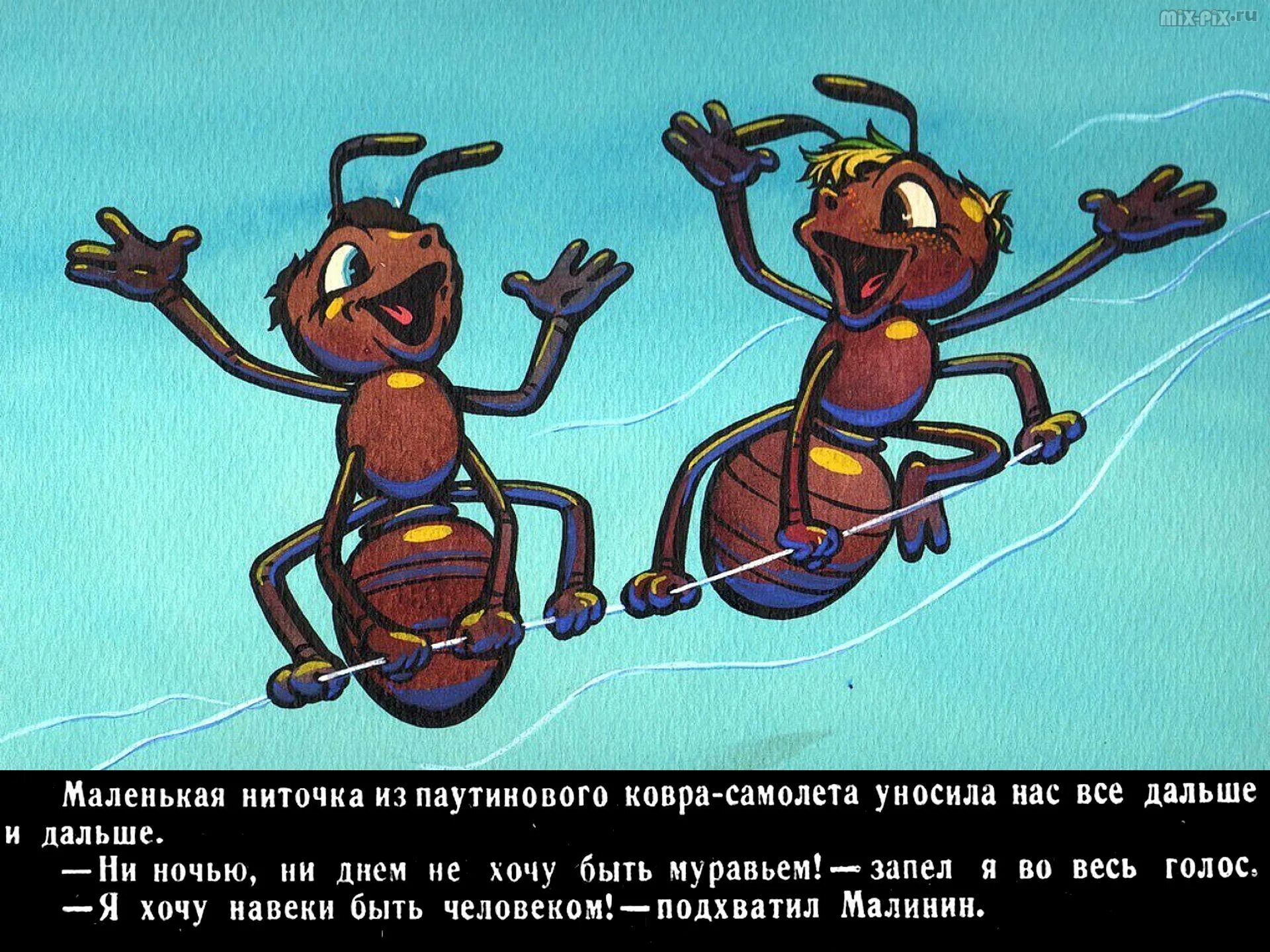 Повесть будь человеком. Баранкин муравей. Баранкин мультфильм муравей. Баранкин будь человеком мультфильм бабочка. Баранкин будь человеком муравьи.