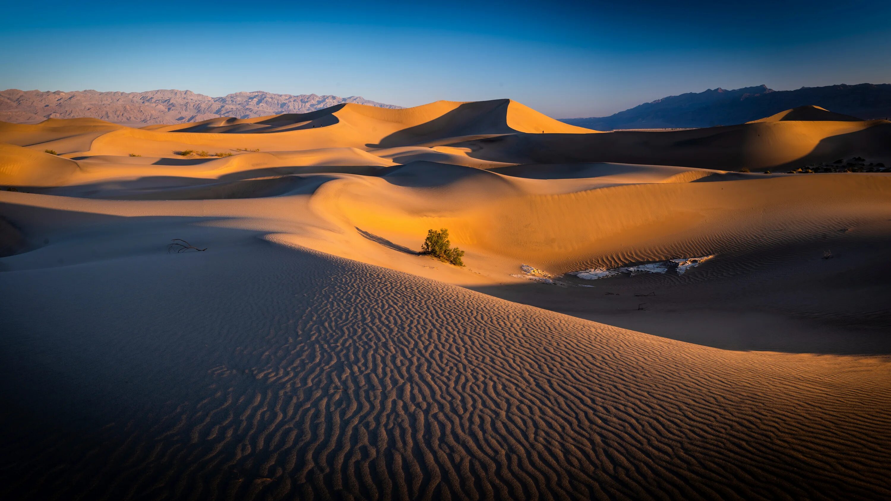 Desert valley. Дюны Долины смерти,Калифорния. Чарские Пески. Пустыня США. Пустыня Долина смерти.