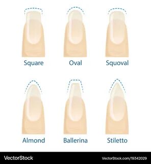 Squared oval
