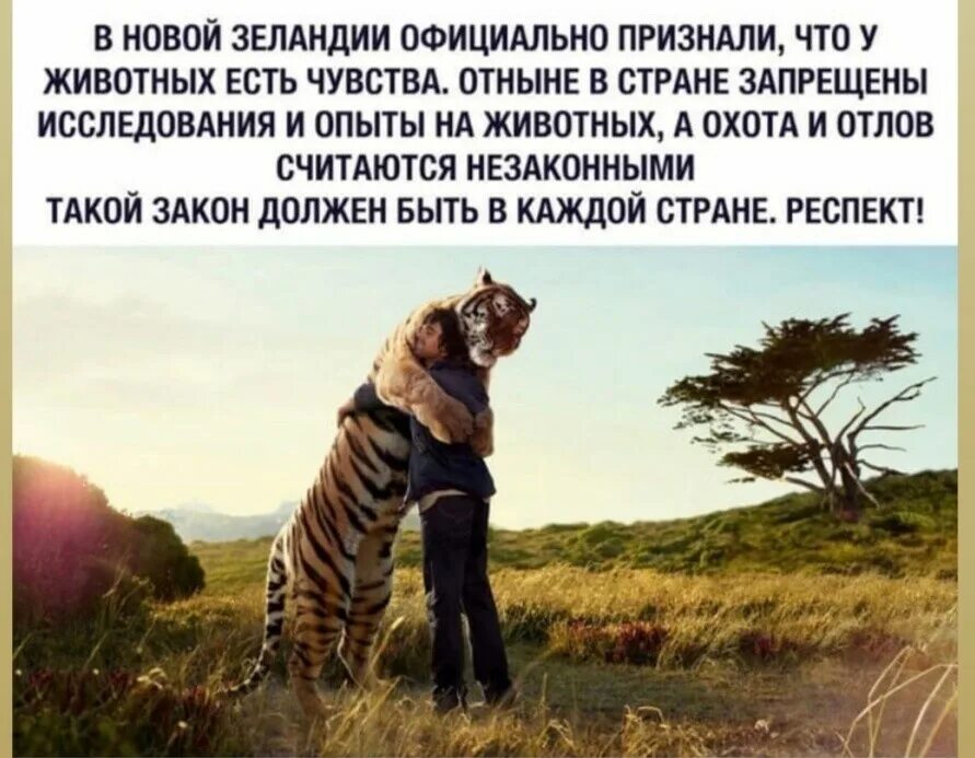 Вижу тебя. Я очень рада была тебя увидеть. Тигр демотиватор. Будто не видно лицу как ты рад. Афоризмы про правду.