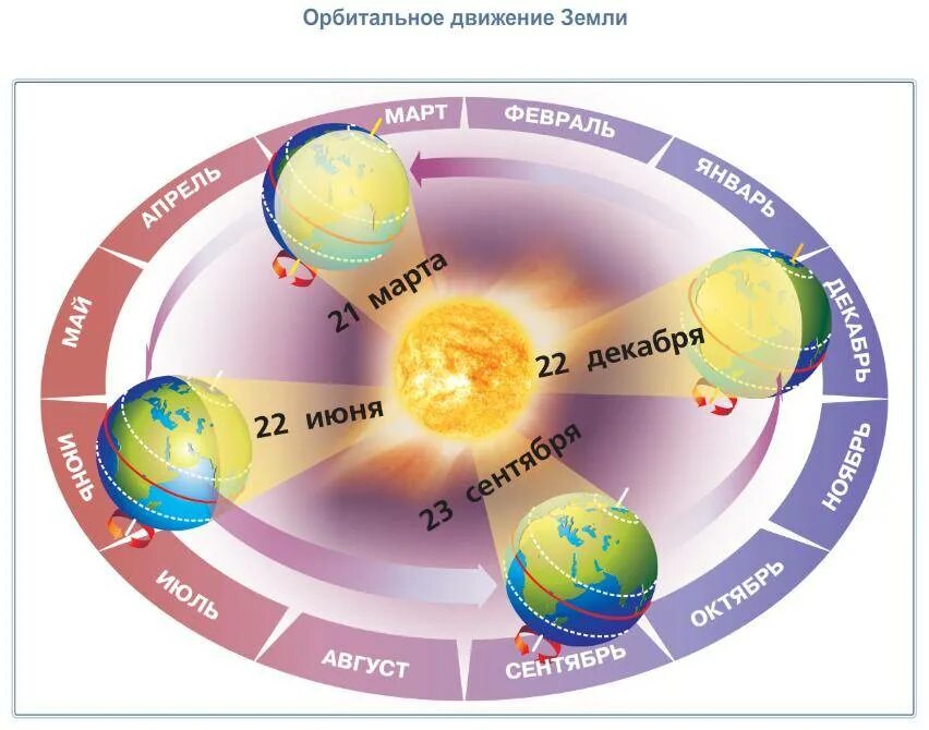 Смена времен года. Смена времен года схема. Орбитальное движение земли. Схема годового движения земли. Программа определяющая время года