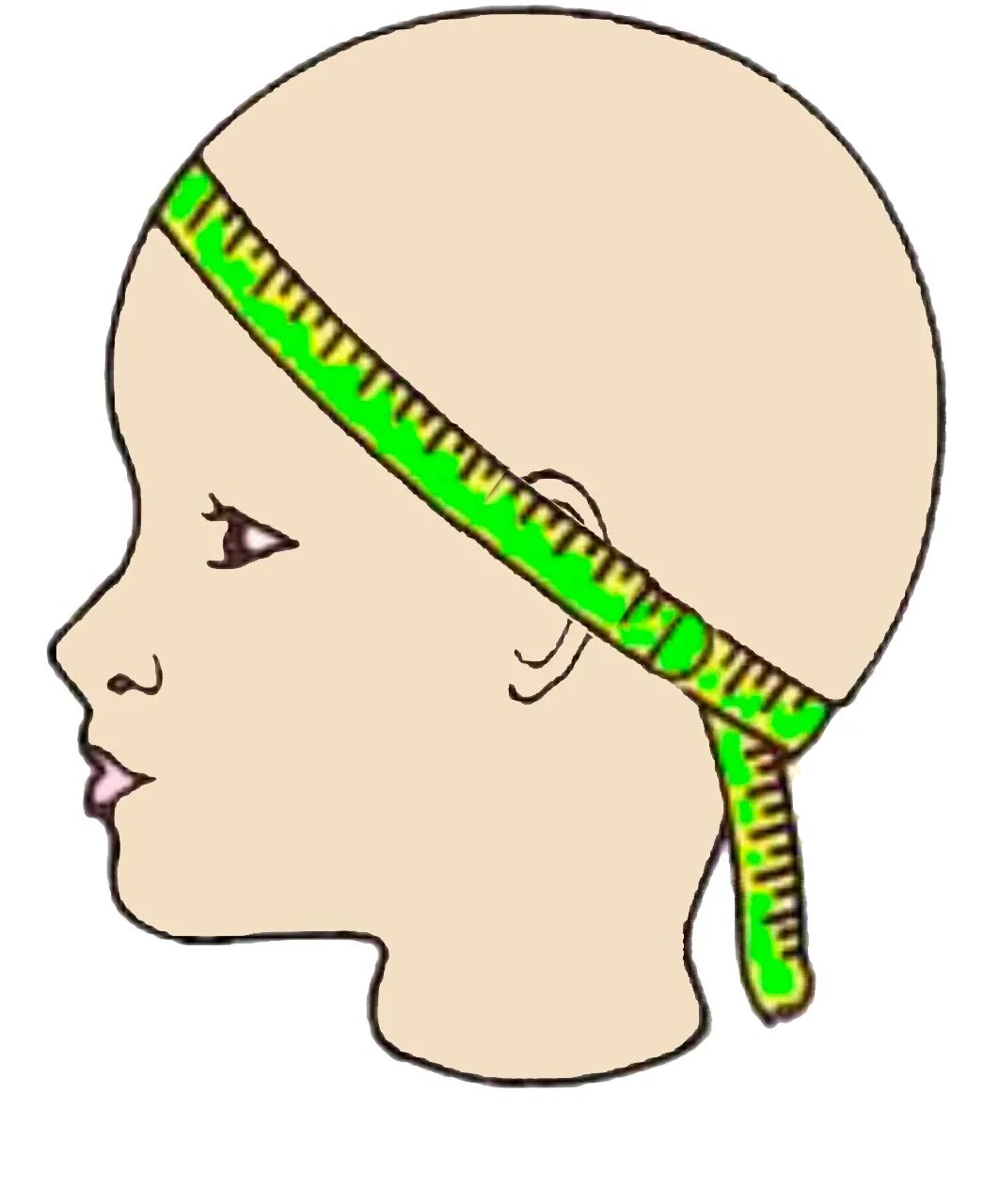 Измерение окружности головы. Мерки головы. Мерки для шапки. Обхват головы. Замер головы для шапки.