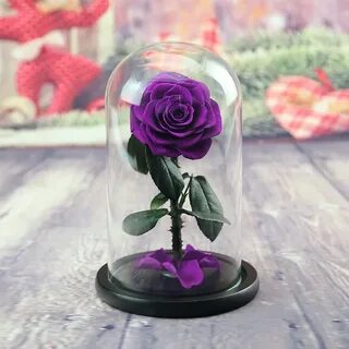 Цветы вечно говоря